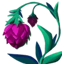 Kalp Çiçeği